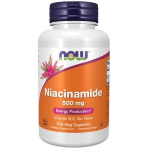NOW Foods Niacynamid (witamina B3) 500mg 100...