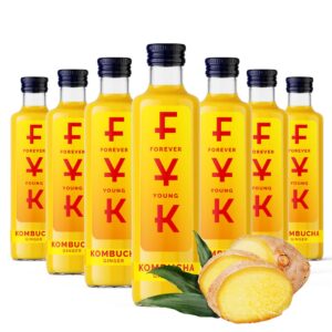FYK Kombucha Ginger 0,25l